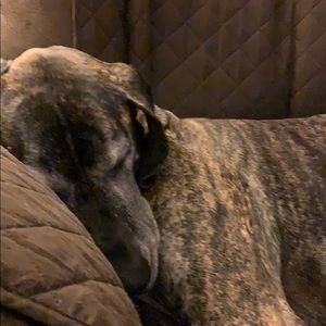 Meet your Posher, Julia